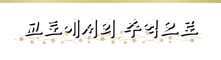 교토에서의 추억으로